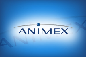 animex logo